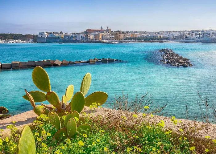 La Reimunda * 오트란토